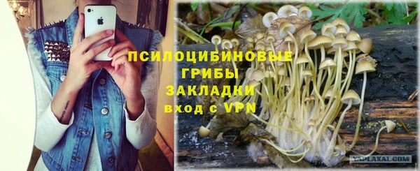Альфа ПВП Арсеньев