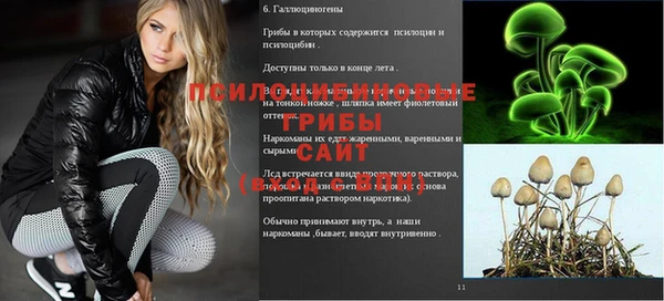 Альфа ПВП Арсеньев